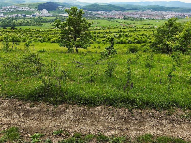 Teren Construcții extravilan de 2900 mp, în Florești