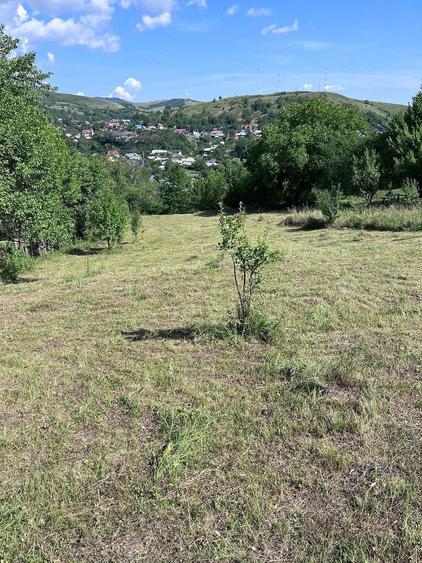 Teren de 8040 mp, în Central