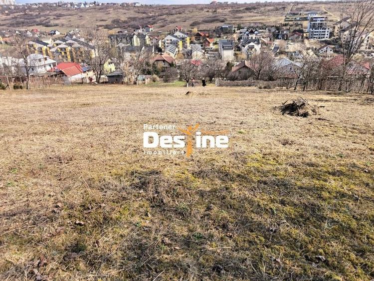 Teren Construcții intravilan de 3000 mp, în Rediu