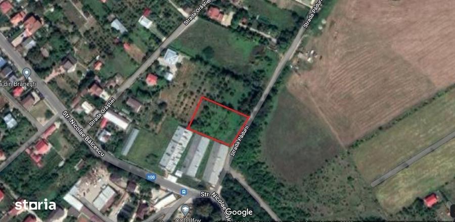 Teren Branesti Pasarea langa padure - 1