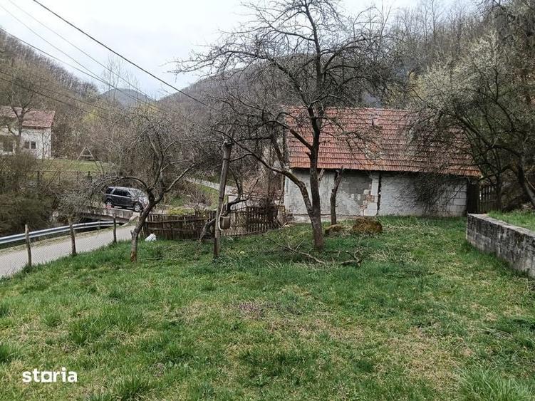 Teren Vetel (valea caoiului)3573 mp - 2
