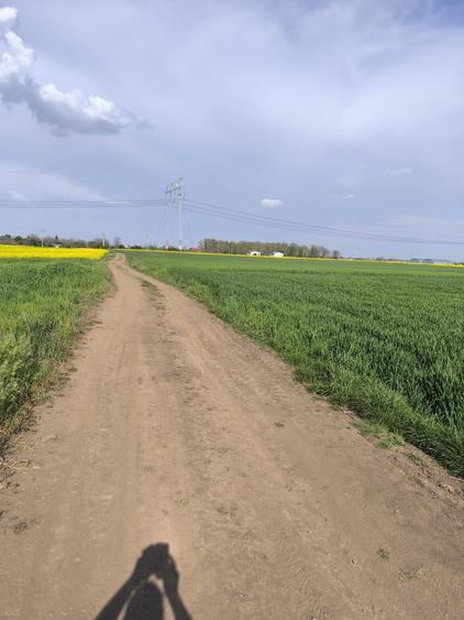 Teren Construcții intravilan de 5000 mp, în Frumușani