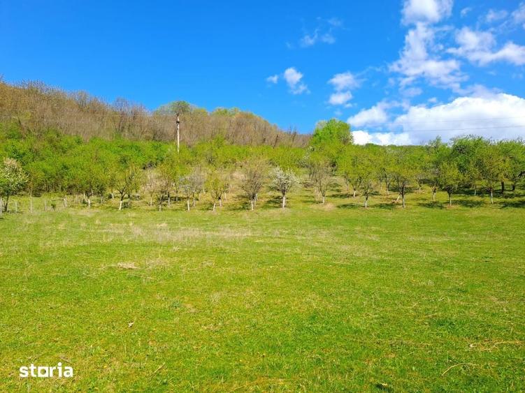 Teren de 13000 mp, în Central