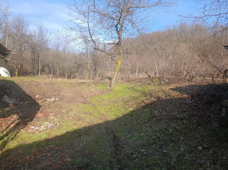 Casă cu Teren 1080 Mp în Blăjani