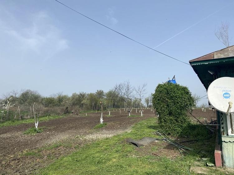 Casă cu 4 camere cu Teren 8500 Mp în Răsuceni