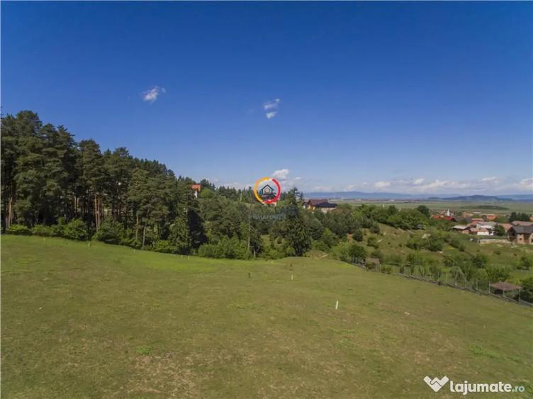 13 locuri de casa-pensiune, segmentul investitional, PUZsiPU - Sacele (Brasov) - 3