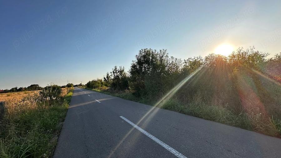 Teren de 6700 mp, în Olteni (Uliești)