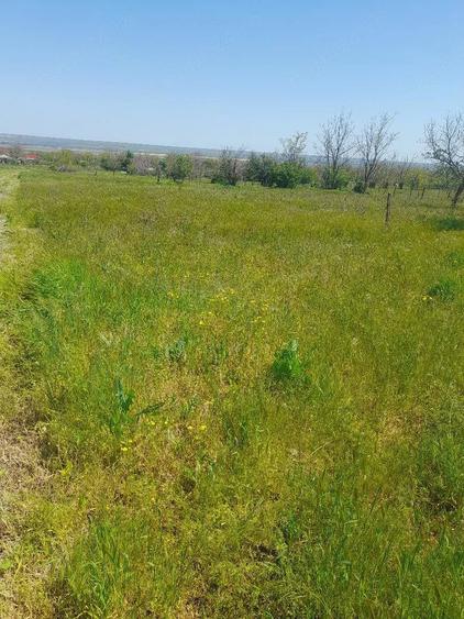 Teren de 1619 mp, în Foltești