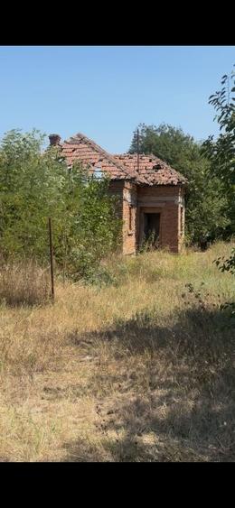 Teren Construcții intravilan de 12299 mp, în Țânțăreni