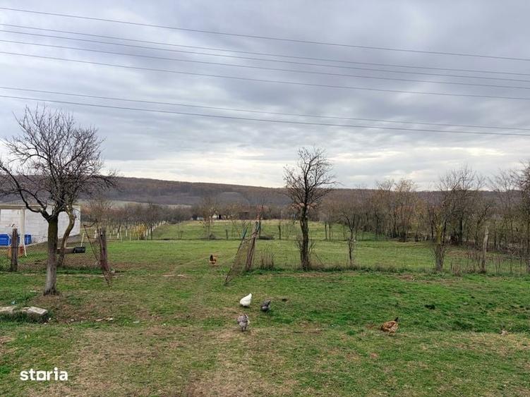 Teren de 580 mp, în Brestovăț
