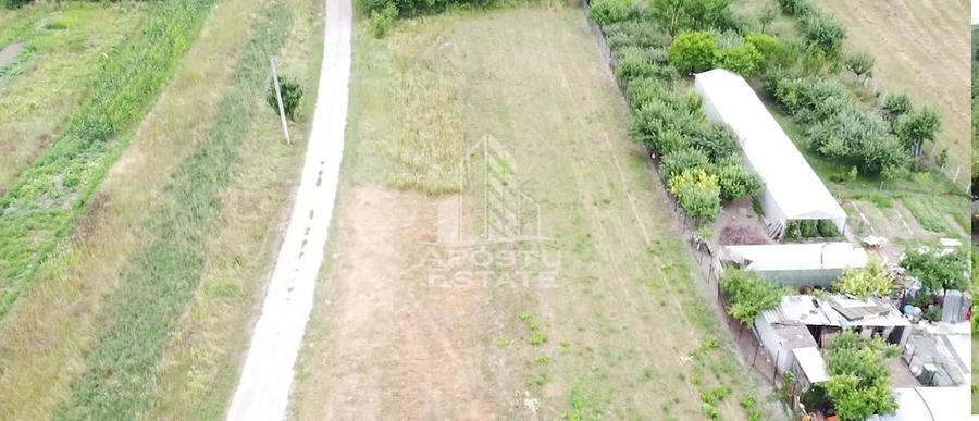 Teren de 2605 mp, în Pestișu Mic