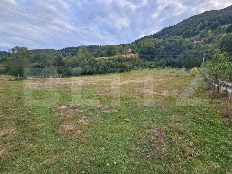 Teren Construcții intravilan de 7467 mp, în Ponorel