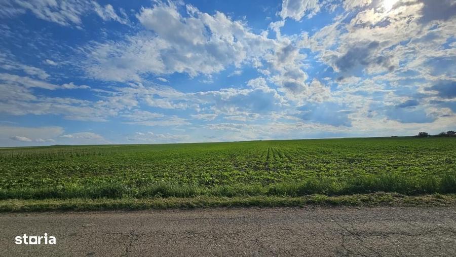 Teren intravilan | PUZ aprobat | 14900 mp | intre Vorovesti si Voinest - 3
