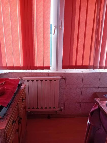 Apartament cu 2 camere în Nufărul