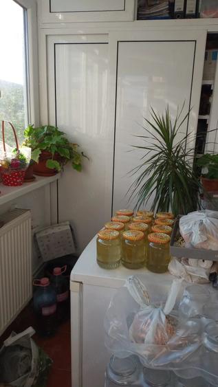 Apartament cu 3 camere decomandat în Ostroveni