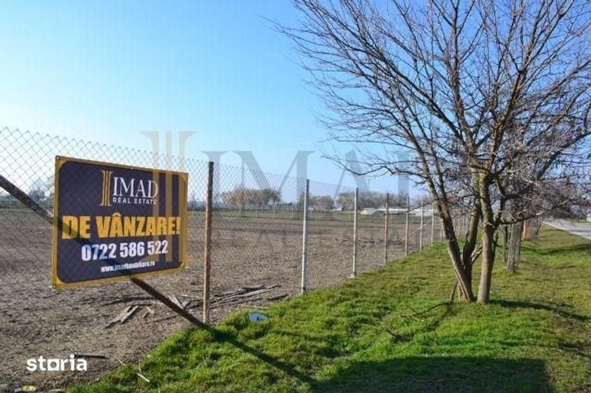 Teren de 5600 mp, în Sălcioara