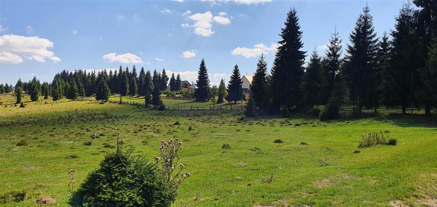 Teren Construcții de 1350 mp, în Beliș