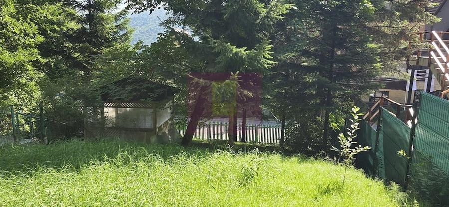 Teren de 979 mp, în Furnica
