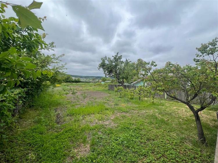 Teren Construcții intravilan de 2748 mp, în Dancu