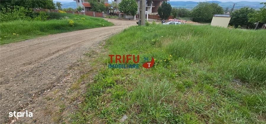 Spațiu comercial, în Șard