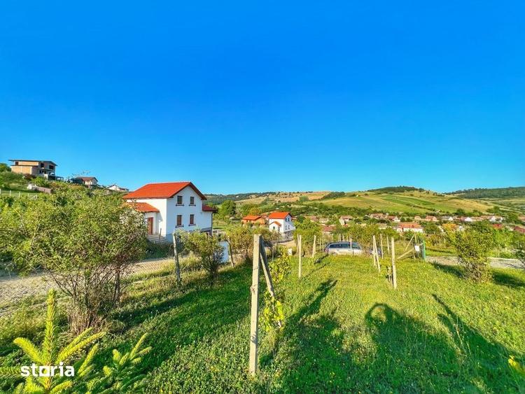 Teren Intravilan 1000 Mp-Utilitati-Sura Mare - 5