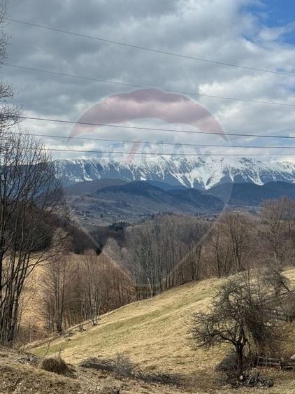 Teren agricol extravilan de 3915 mp, în Fundata