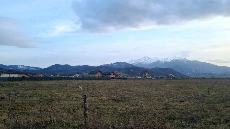 Teren Construcții intravilan de 1049 mp, în Pănicel