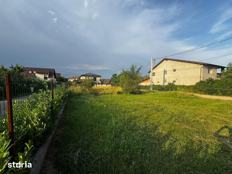 Teren intravilan Paulesti, Prahova, 110 000 euro Negociabil - 3