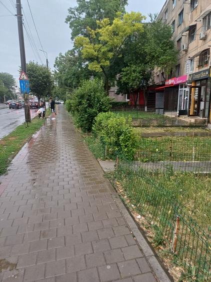 Spatiu comercial vad bun Bulevardul Nicolae Iorga - 4