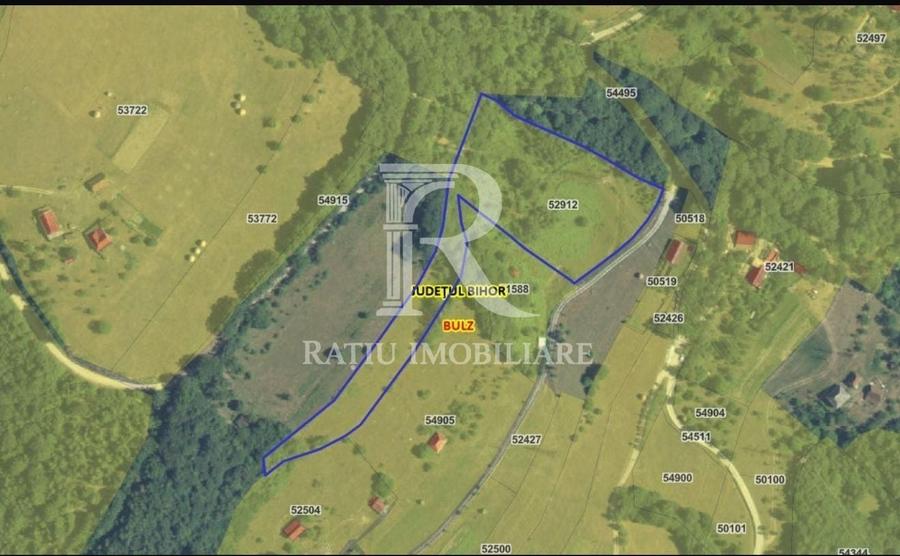 Teren 10.900mp | Panoramă în Apuseni | Remeți -Ideal pentru Investitii - 3