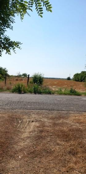 Teren Construcții intravilan de 11500 mp, în Central