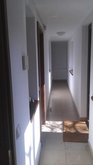 Casă cu 3 camere cu Teren 230 Mp în Chibrit