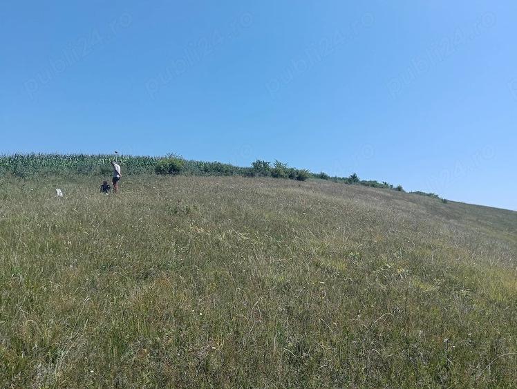 Teren de 5800 mp, în Apahida