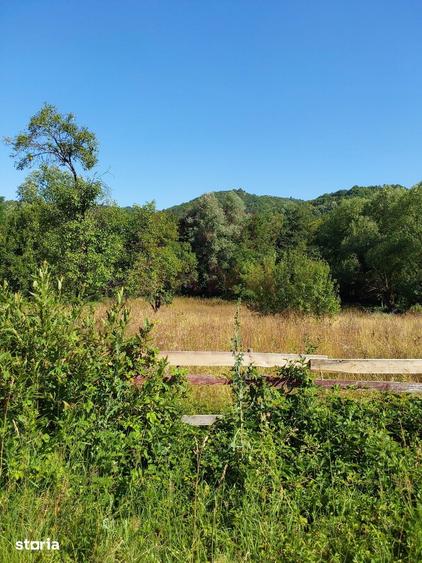 Teren de 6254 mp, în Fârliug