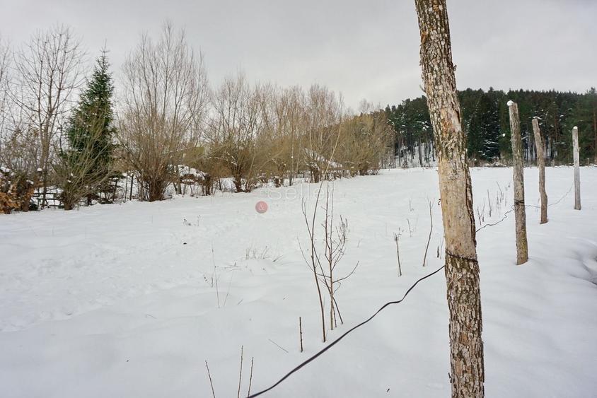 Teren Construcții intravilan de 1700 mp, în Cernatu