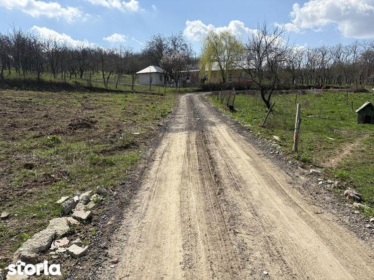 Teren de 700 mp, în Tomești