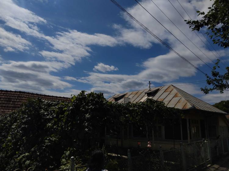 Teren de 550 mp, în Sărata