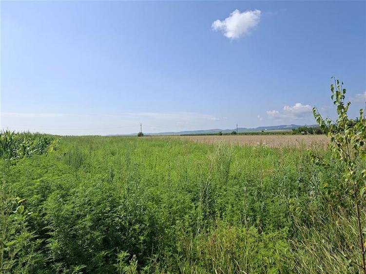 Teren intravilan de 1600 mp, în 9 Mai