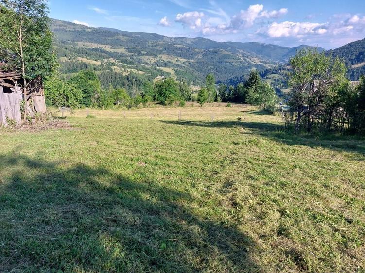 Teren de 5353 mp, în Horea