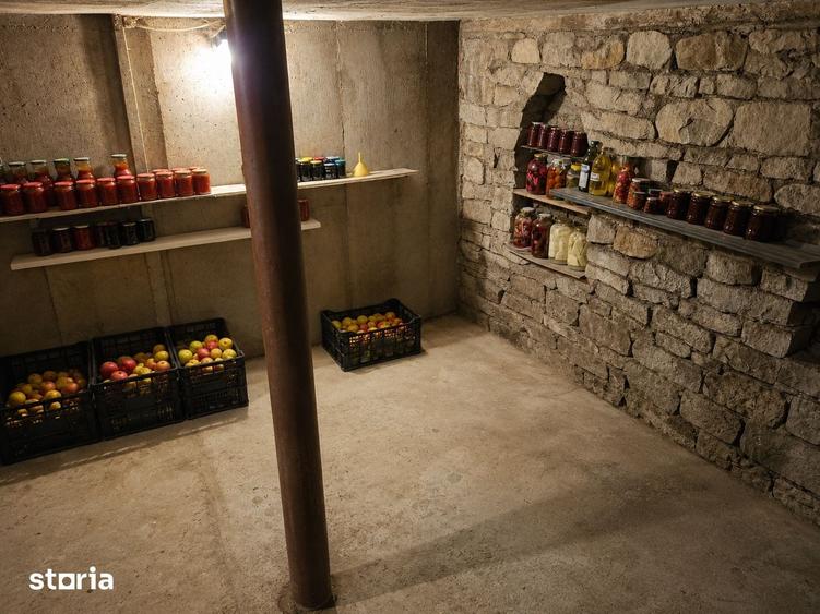 Casă cu 2 camere cu Teren 2500 Mp în Voitinel