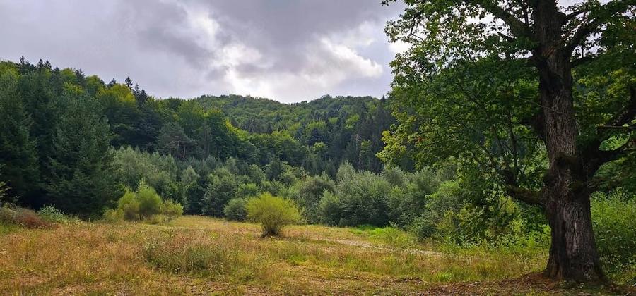 Teren de 550 mp, în Central