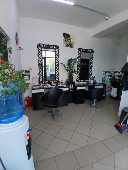 Spațiu comercial, de 26.10000038147 mp, în Alexandriei