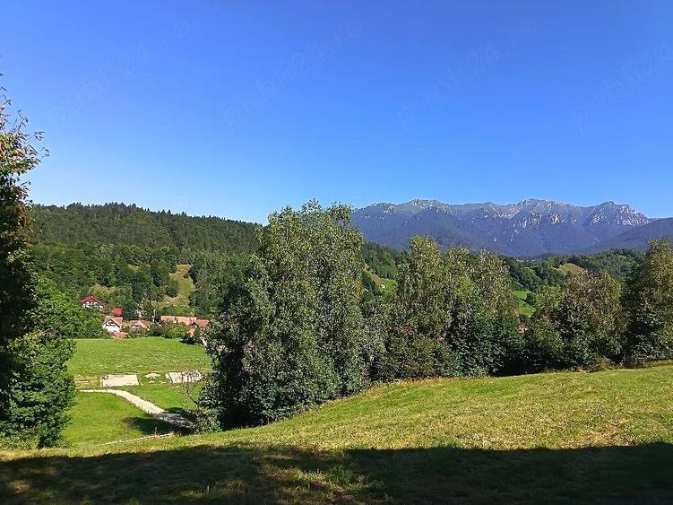 Teren de 8000 mp, în Bran