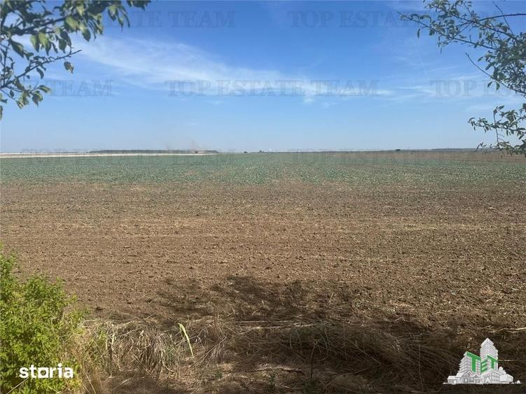Teren de 1330 mp, în Brănești