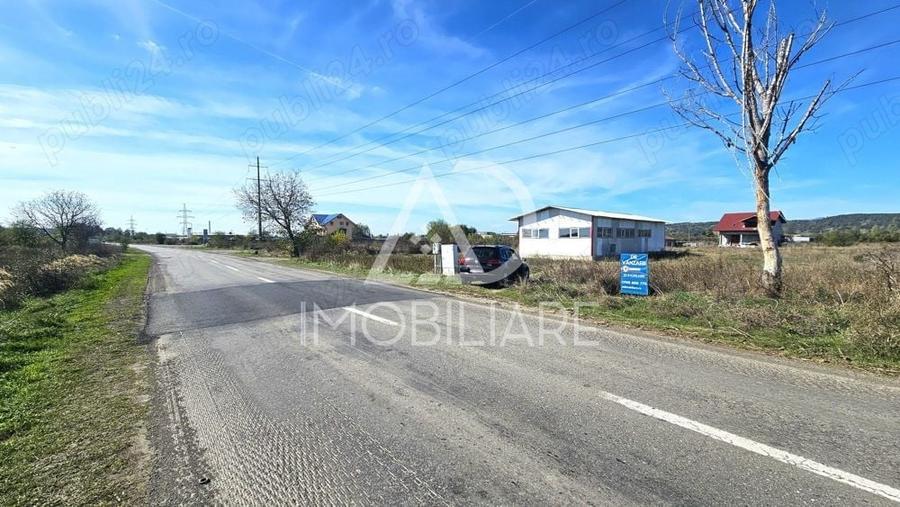 Teren în Narciselor
