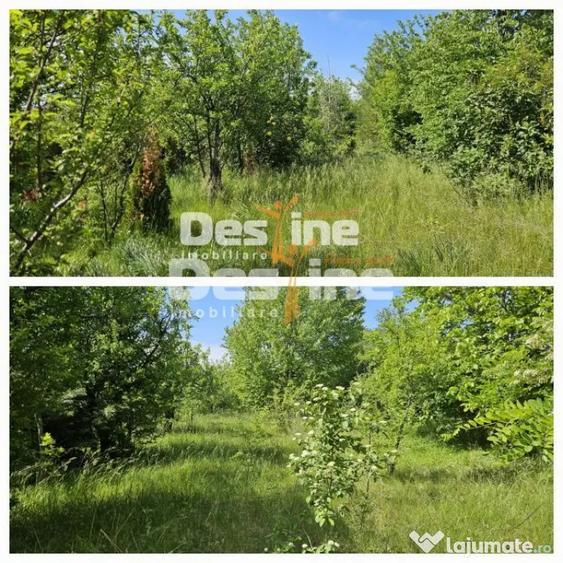 Teren în Tomești