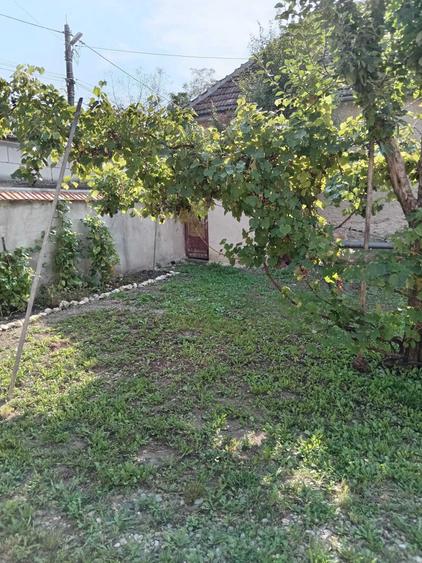 Casă cu 3 camere în Central
