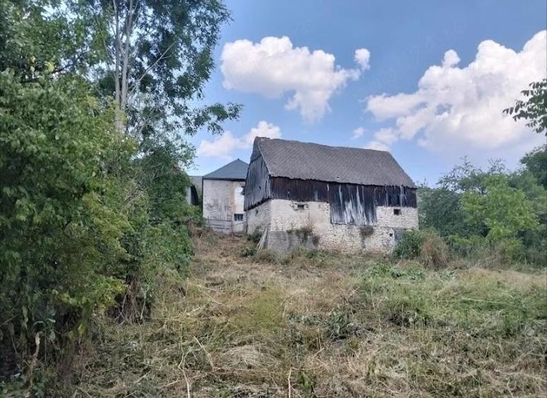 Casă cu Teren 2500 Mp în Căpușu Mare