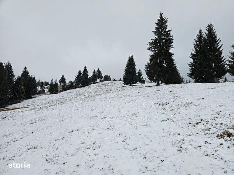 Teren de 25731 mp, în Breaza