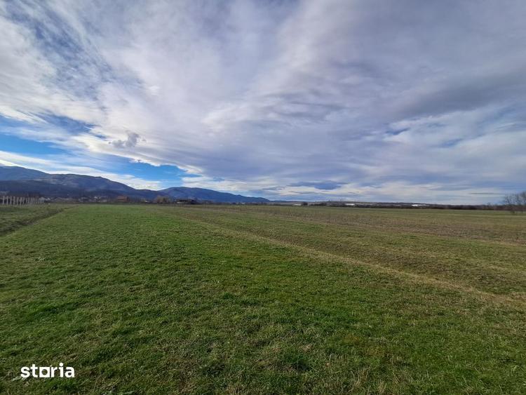 Teren de 500 mp, în Central